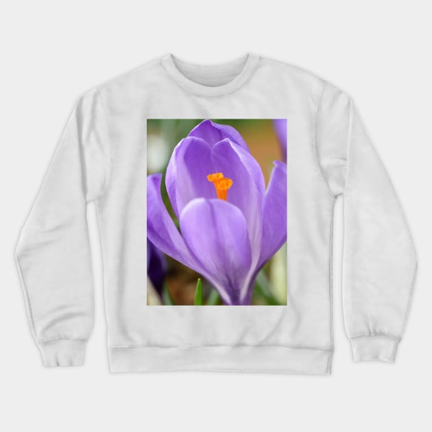 Crocus Crewneck Sweatshirt by chrisburrows